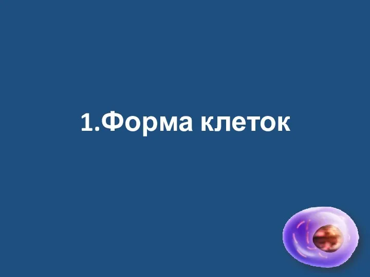 1.Форма клеток