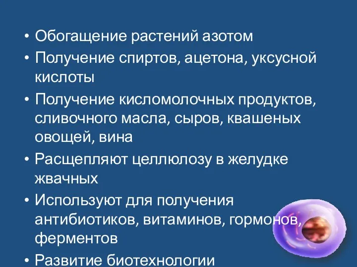 Обогащение растений азотом Получение спиртов, ацетона, уксусной кислоты Получение кисломолочных продуктов,