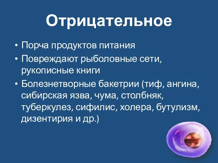 Отрицательное Порча продуктов питания Повреждают рыболовные сети, рукописные книги Болезнетворные бакетрии