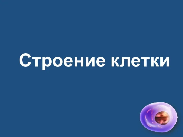 Строение клетки