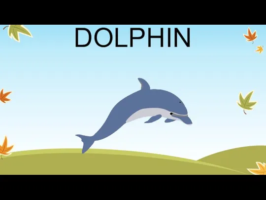 DOLPHIN