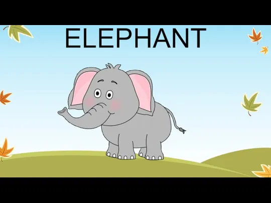 ELEPHANT