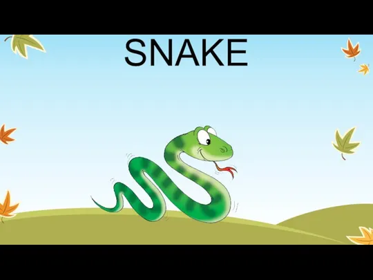 SNAKE