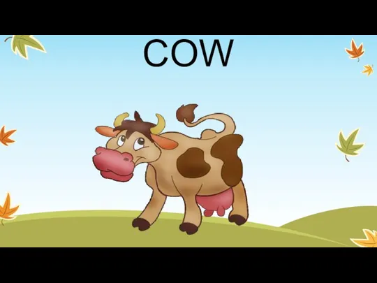 COW