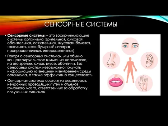 СЕНСОРНЫЕ СИСТЕМЫ Сенсорные системы – это воспринимающие системы организма (зрительная, слуховая,