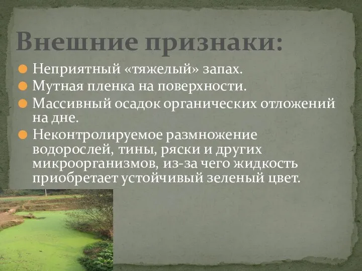 Неприятный «тяжелый» запах. Мутная пленка на поверхности. Массивный осадок органических отложений