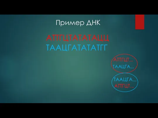 Пример ДНК АТТГЦТАТАТАЦЦ ТААЦГАТАТАТГГ