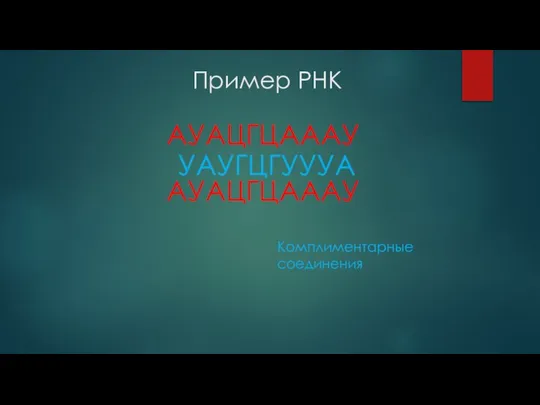 Пример РНК АУАЦГЦАААУ УАУГЦГУУУА АУАЦГЦАААУ Комплиментарные соединения