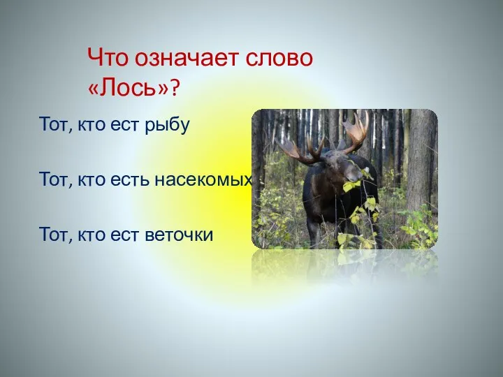 Что означает слово «Лось»? Тот, кто ест рыбу Тот, кто есть насекомых Тот, кто ест веточки