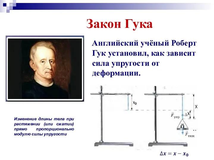 Закон Гука Английский учёный Роберт Гук установил, как зависит сила упругости