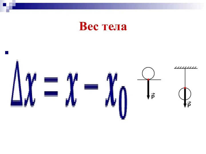 Вес тела