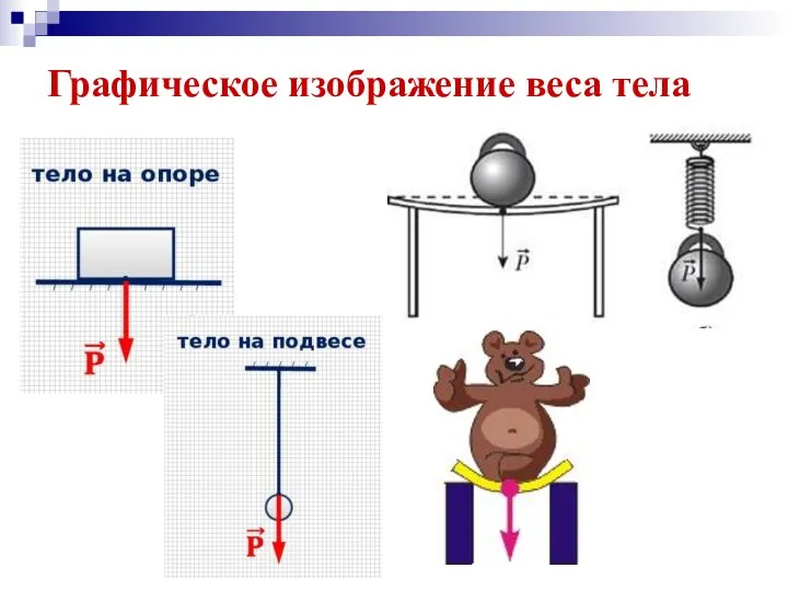 Графическое изображение веса тела