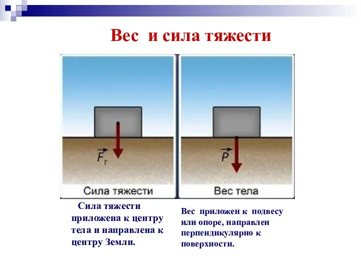 Вес и сила тяжести Сила тяжести приложена к центру тела и