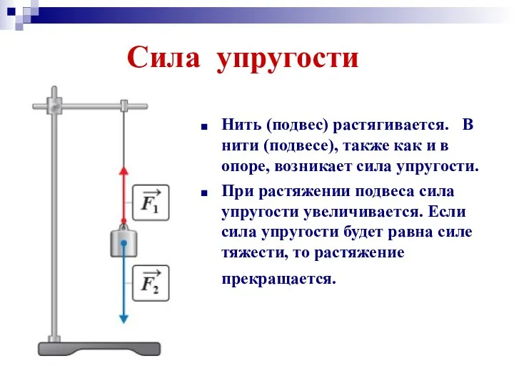 Сила упругости Нить (подвес) растягивается. В нити (подвесе), также как и