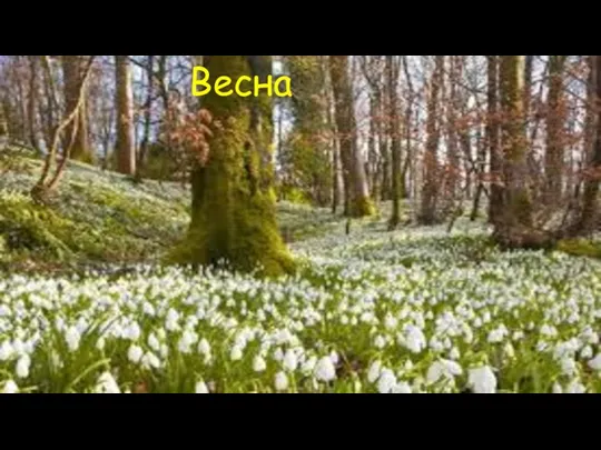 Весна