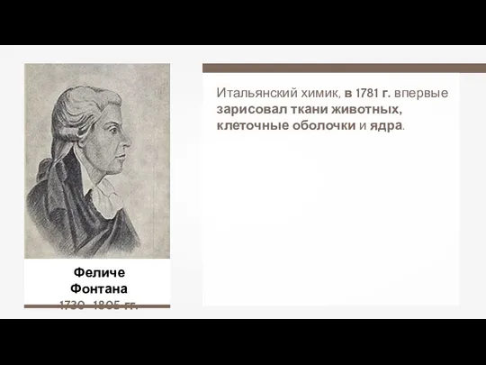 Феличе Фонтана 1730–1805 гг. Итальянский химик, в 1781 г. впервые зарисовал