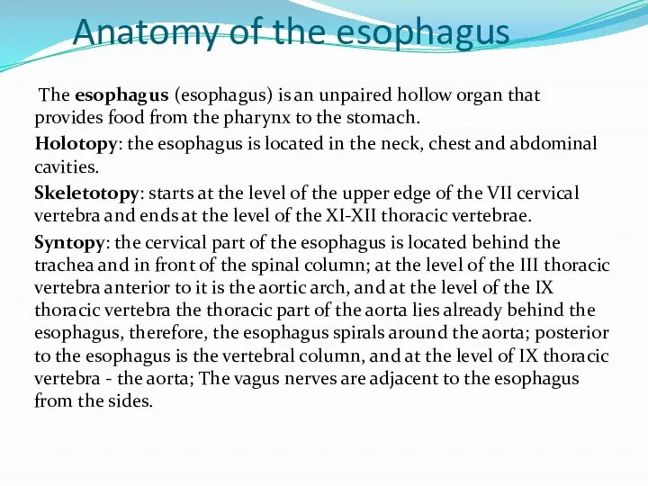 Anatomy of the esophagus The esophagus (esophagus) is an unpaired hollow