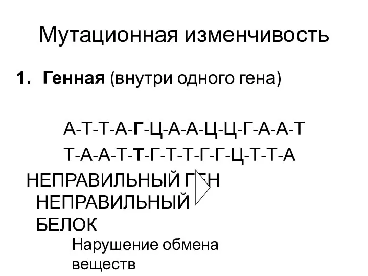 Мутационная изменчивость Генная (внутри одного гена) А-Т-Т-А-Г-Ц-А-А-Ц-Ц-Г-А-А-Т Т-А-А-Т-Т-Г-Т-Т-Г-Г-Ц-Т-Т-А НЕПРАВИЛЬНЫЙ ГЕН НЕПРАВИЛЬНЫЙ