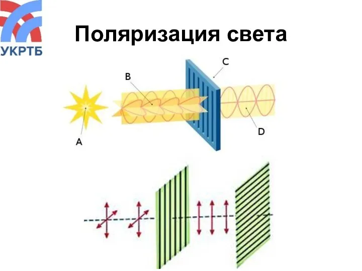 Поляризация света