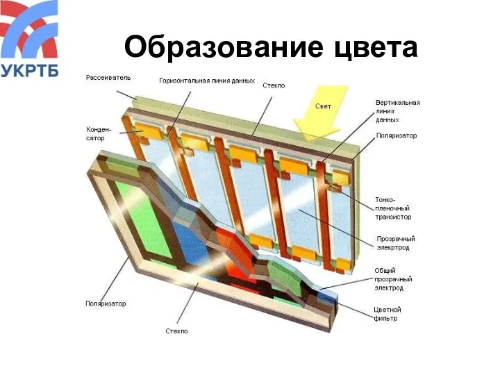 Образование цвета