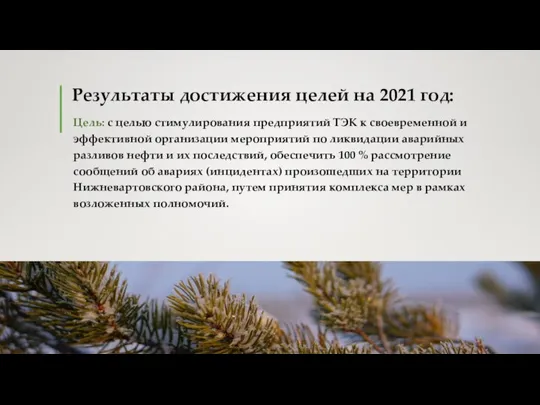 Результаты достижения целей на 2021 год: Цель: с целью стимулирования предприятий