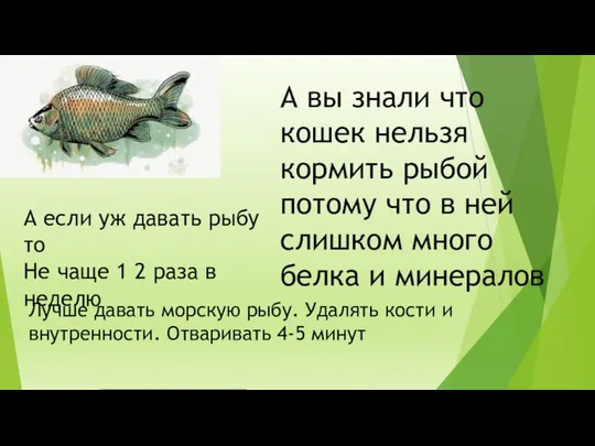 А вы знали что кошек нельзя кормить рыбой потому что в