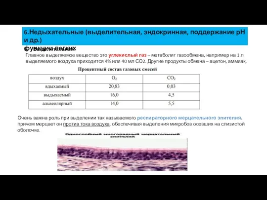 6.Недыхательные (выделительная, эндокринная, поддержание рН и др.) функции легких Выделительная. Главное