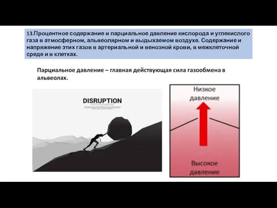 13.Процентное содержание и парциальное давление кислорода и углекислого газа в атмосферном,