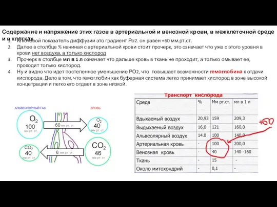 Содержание и напряжение этих газов в артериальной и венозной крови, в