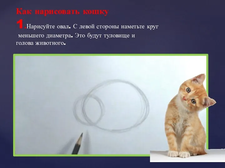 1.Нарисуйте овал. С левой стороны наметьте круг меньшего диаметра. Это будут