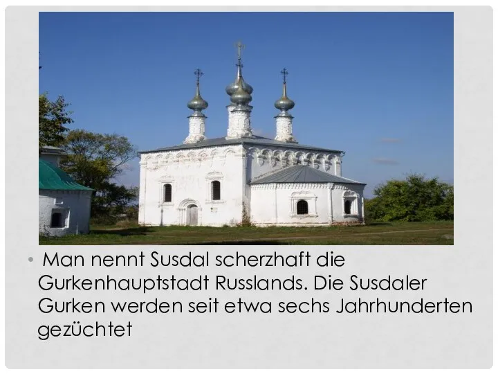 Man nennt Susdal scherzhaft die Gurkenhauptstadt Russlands. Die Susdaler Gurken werden seit etwa sechs Jahrhunderten gezüchtet
