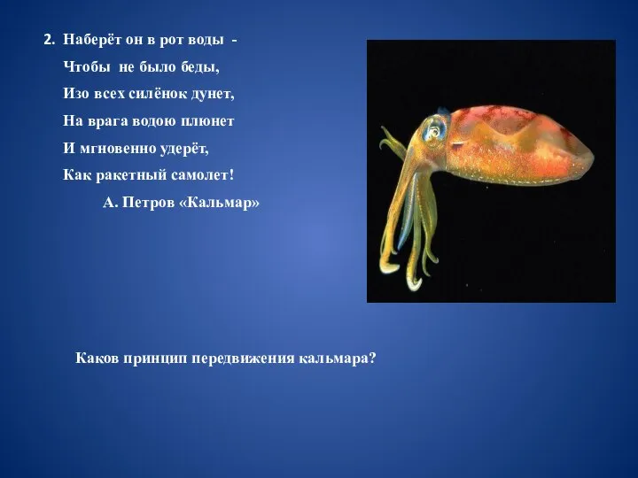 2. Наберёт он в рот воды - Чтобы не было беды,