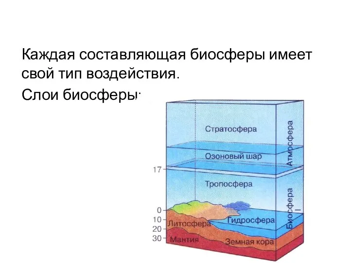 Каждая составляющая биосферы имеет свой тип воздействия. Слои биосферы: