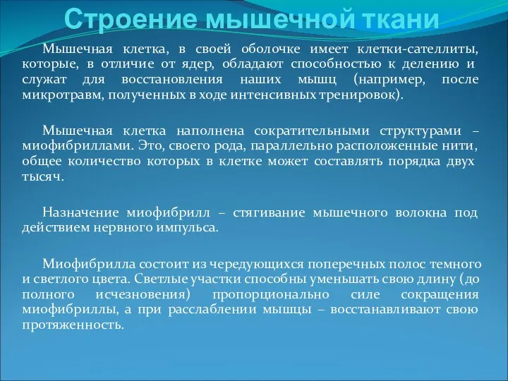 Мышечная клетка, в своей оболочке имеет клетки-сателлиты, которые, в отличие от