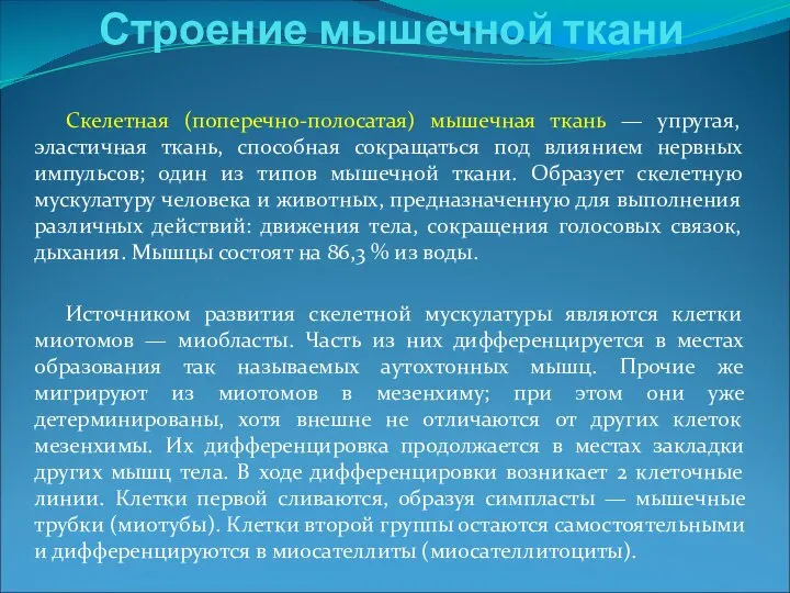 Скелетная (поперечно-полосатая) мышечная ткань — упругая, эластичная ткань, способная сокращаться под