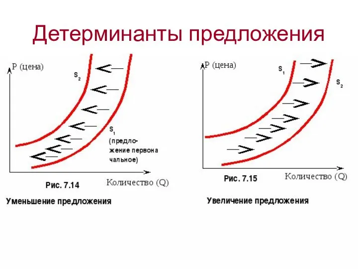 Детерминанты предложения