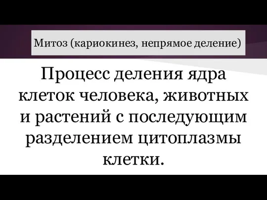 Митоз (кариокинез, непрямое деление) Процесс деления ядра клеток человека, животных и