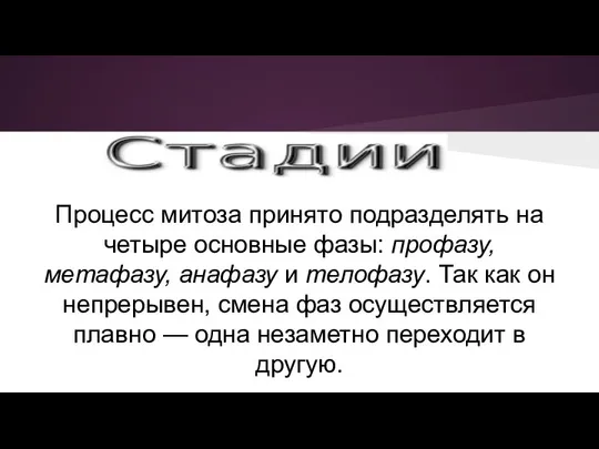 Процесс митоза принято подразделять на четыре основные фазы: профазу, метафазу, анафазу