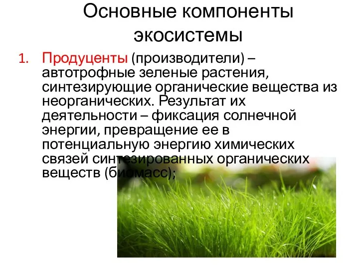 Основные компоненты экосистемы Продуценты (производители) – автотрофные зеленые растения, синтезирующие органические