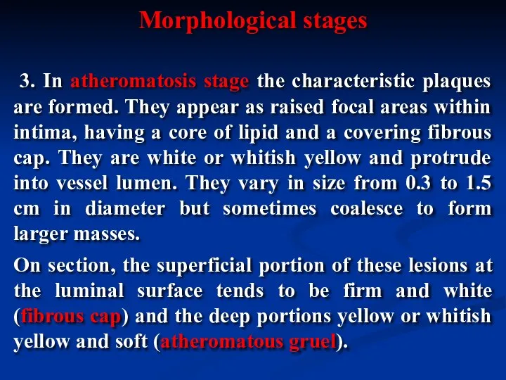 3. In atheromatosis stage the characteristic plaques are formed. They appear