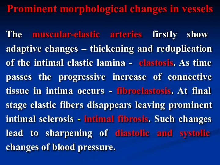 The muscular-elastic arteries firstly show adaptive changes – thickening and reduplication