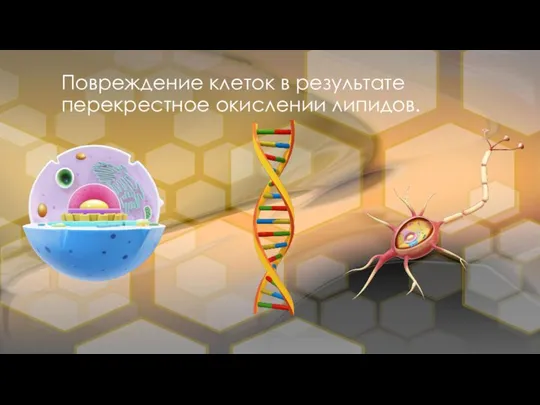 Повреждение клеток в результате перекрестное окислении липидов.