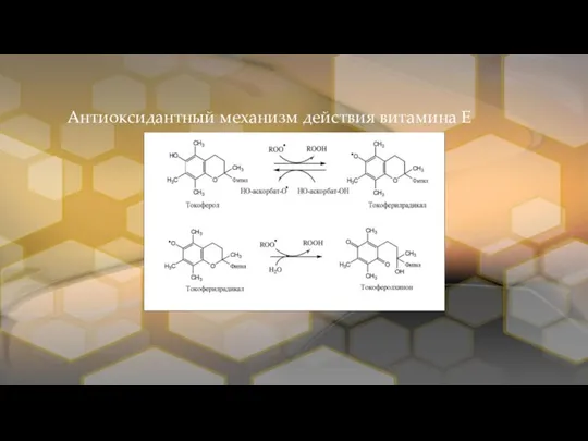 Антиоксидантный механизм действия витамина Е