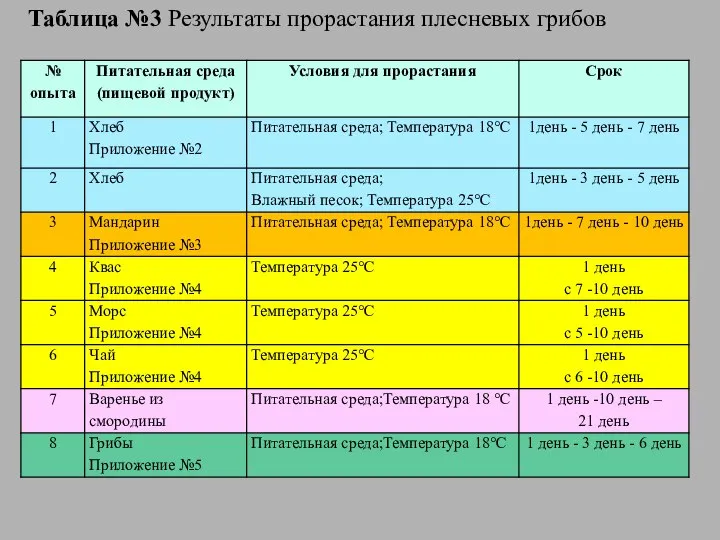 Таблица №3 Результаты прорастания плесневых грибов