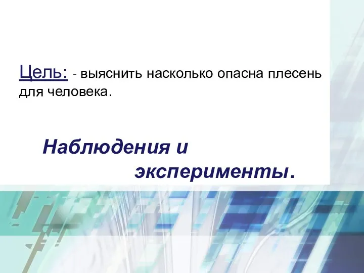 Наблюдения и эксперименты. Цель: - выяснить насколько опасна плесень для человека.