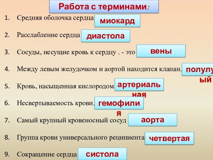 Работа с терминами: Средняя оболочка сердца ... Расслабление сердца … Сосуды,