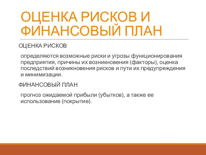 ОЦЕНКА РИСКОВ И ФИНАНСОВЫЙ ПЛАН ОЦЕНКА РИСКОВ определяются возможные риски и