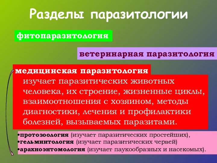 Разделы паразитологии изучает паразитических животных человека, их строение, жизненные циклы, взаимоотношения