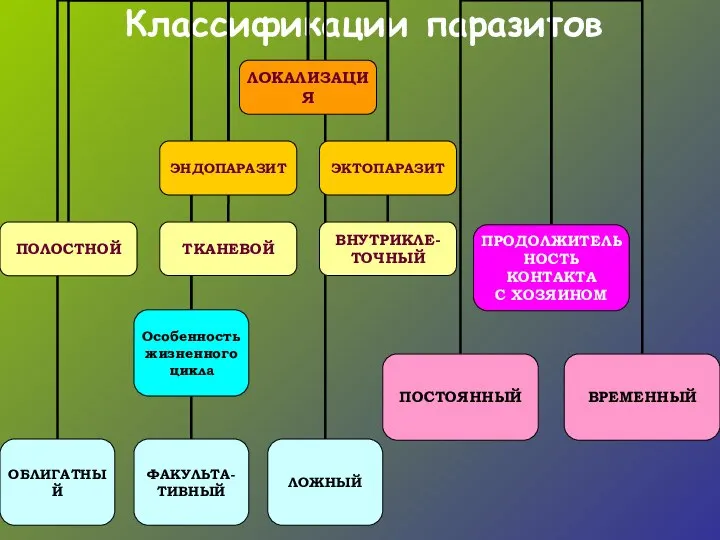 Классификации паразитов