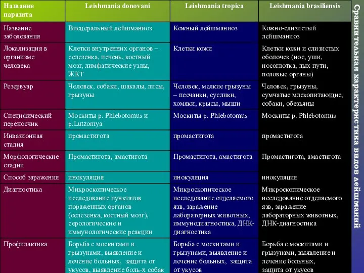 Сравнительная характеристика видов лейшманий